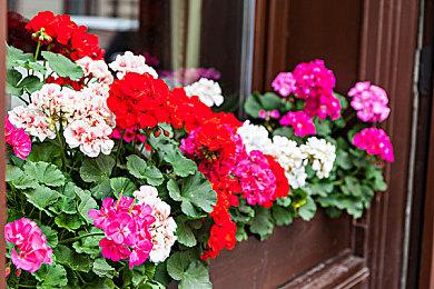 推理悬疑AVG《壳之少女》Steam商店页面上线 7月28日发售