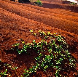 《星际公民》新演示展示更多内容 众筹4.85亿美元